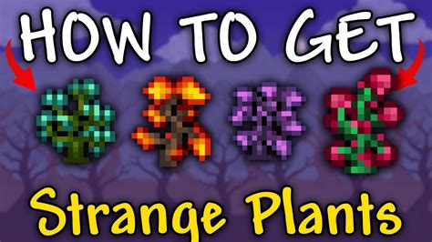 terraria strange plating|strange plant calamity.